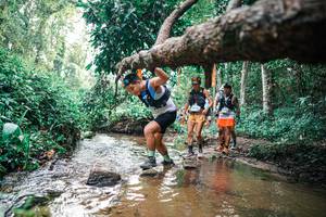 BIB: 
                            <button type="button" onclick="openModal(25369919)" class="btn btn-primary btn-sm float-right btn-popup" data-toggle="modal" data-target=".modal-high-quality">
                        <i class="fas fa-shopping-cart"></i> Add to Cart
                    </button>
                                            <button type="button" onclick="isThisMe(25369919, true)" class="btn btn-success btn-sm float-right btn-popup btn-isme hidden" data-toggle="tooltip" data-placement="bottom" title="นี่คือรูปของคุณใช่ไหม คลิกที่นี่เพื่อเอาเข้าอัลบั้ม">
                        <i class="fas fa-plus"></i> Add to album
                    </button>
                    <button type="button" onclick="isThisMe(25369919, false)" class="btn btn-warning btn-sm float-right btn-popup btn-isnotme hidden">
                        <i class="fas fa-ban"></i> Remove from album
                    </button>